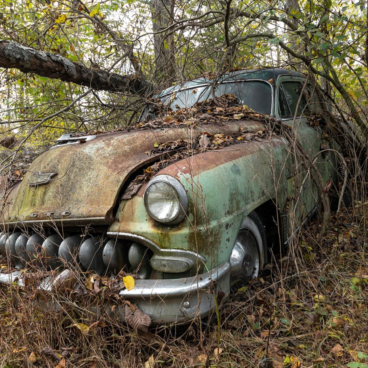 urbex-urban-exploration-usa-automobile-voiture-americaine-desoto-firedome