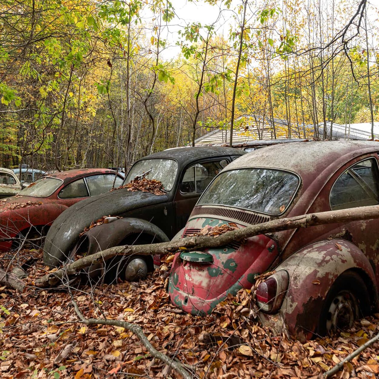 urbex-urban-exploration-usa-abandon-decay-automobile-vw-coccinelle