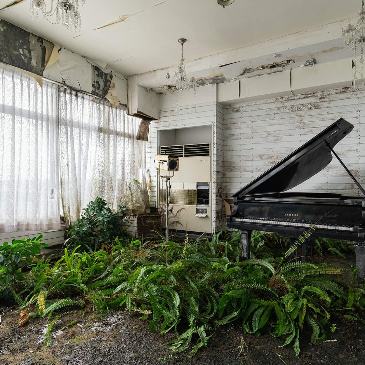 haikyo-urbex-japon-exploration-abandon-piano-nature