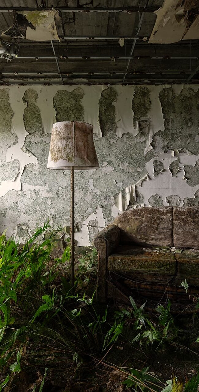 haikyo-urbex-japon-exploration-abandon-pachinko-nature-salon